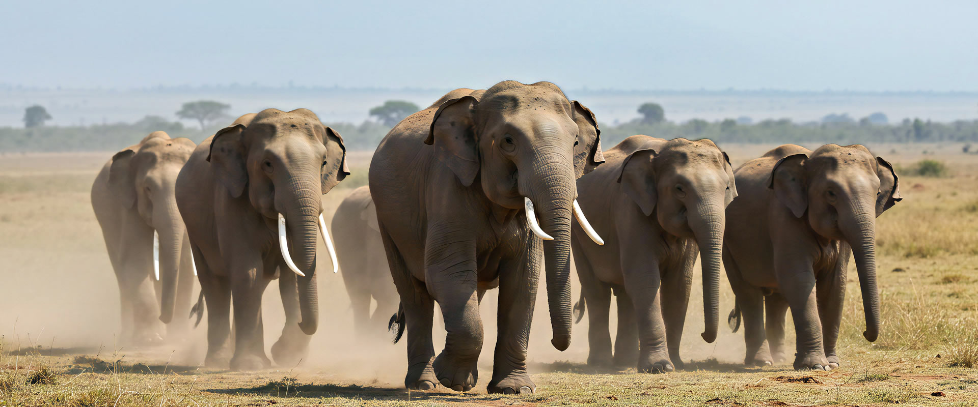 3 Days Tsavo East & Amboseli Safari