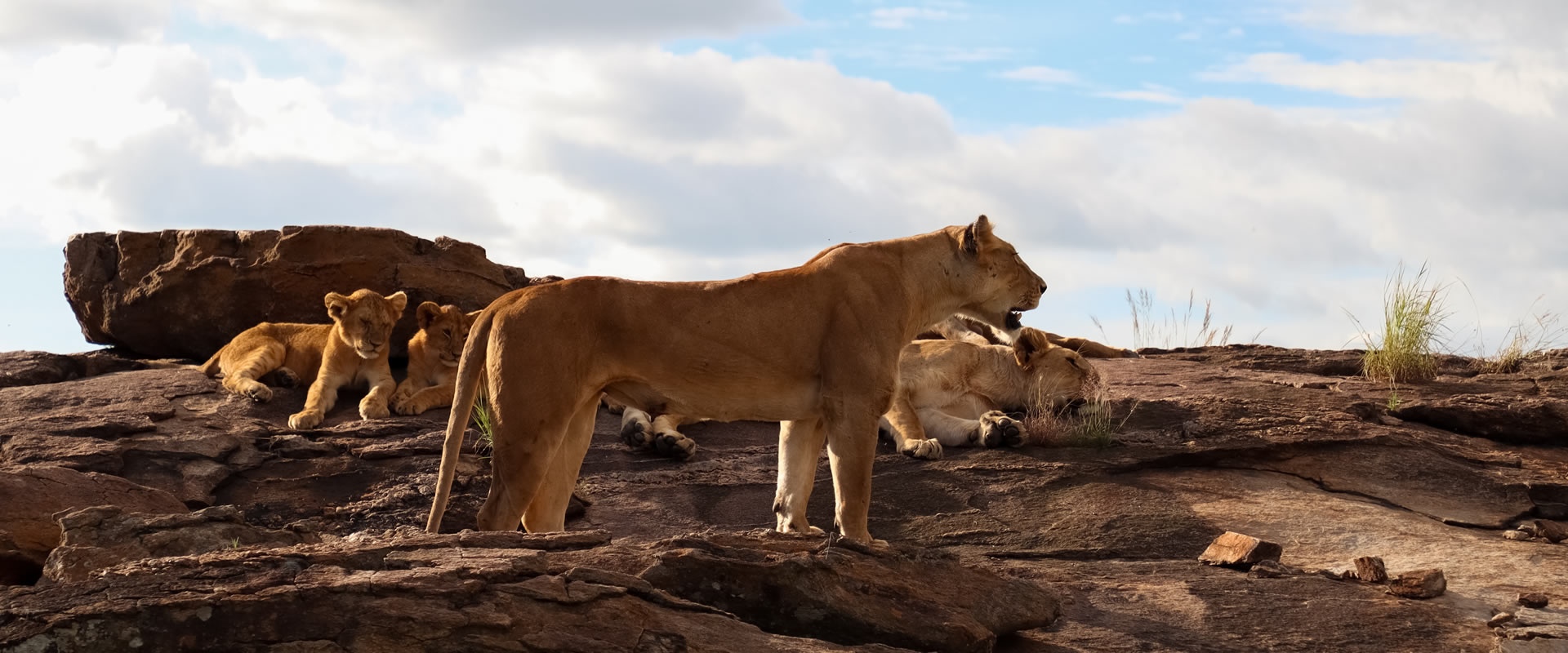 3 Days Tsavo East & Tsavo West Safari from Mombasa