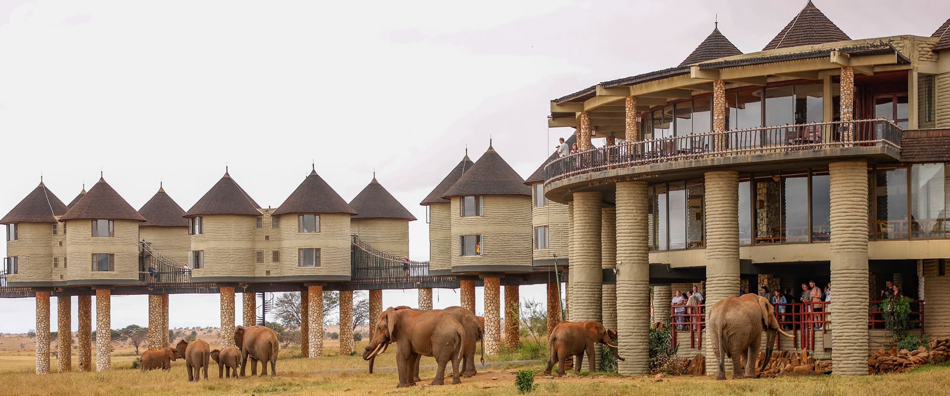 3 days saltlick lodge