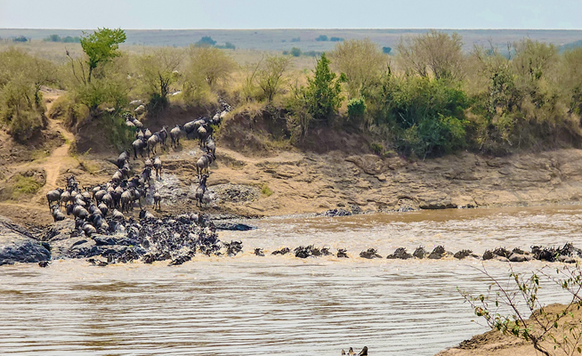 4 Days Lake Nakuru & Masai Mara Safari from Nairobi_2