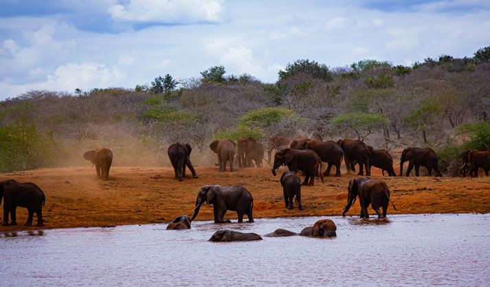 Tsavo East National Park